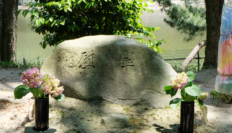 草津八幡宮・本殿・拝殿