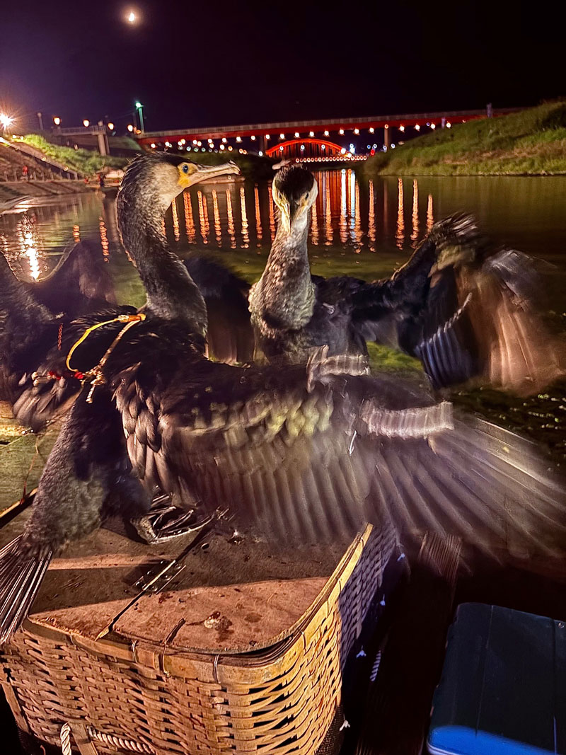 三次の鵜飼